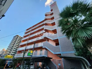 大阪府堺市堺区甲斐町西3【マンション】の外観