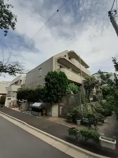 チェリーブロッサム八雲の画像