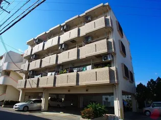 ハイツポポラーレ【3階】の外観