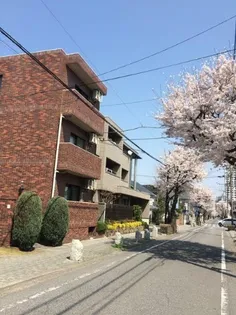 桜ハウス【3階】の外観