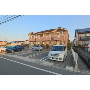 セレッソの画像