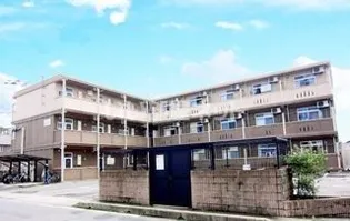 エルジーナの画像