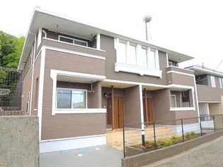 ブルーベリーの画像