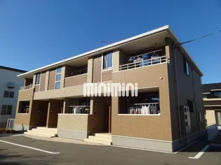 コニファーの画像