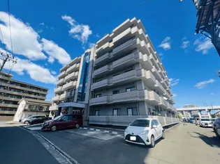 ファーストフィンガーの画像