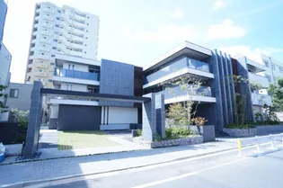 PLEASURE BRIGHTの画像