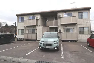 エーデルワイスの画像