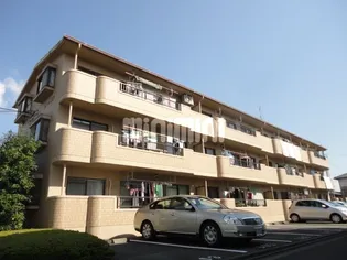 ドリーム 雨坪の画像