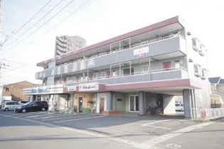 セントジョーンズの画像