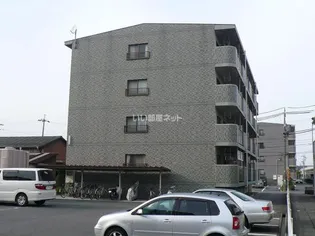 グリーンフォレストの画像