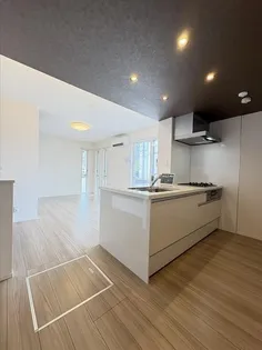 D‐Resena 江平中町【1階】のキッチン