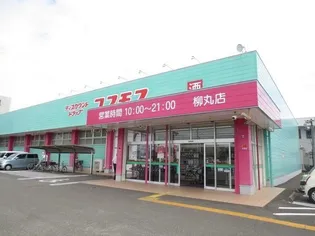 D‐Resena 江平中町【1階】の周辺