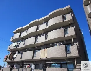 フェアリーライトの画像