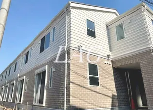 ゼルコーバの画像