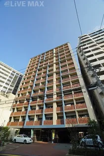 サヴォイテンジンスクワイヤーの画像