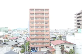 セレッソイシダの画像