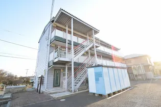 コスモスNO 3の画像