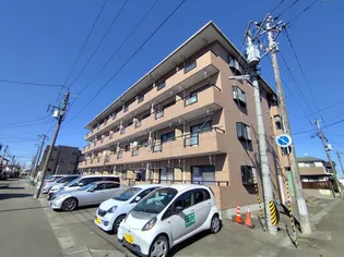 シティハイツ10番館の画像