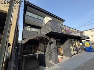 スインスィアフナコシの画像