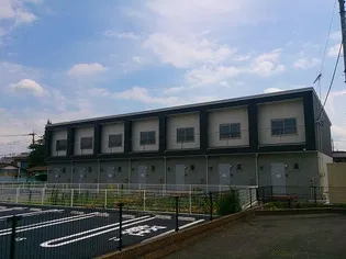 AVEX25の画像