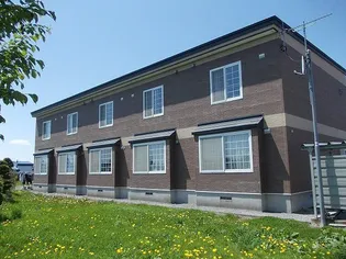 プラシードの画像