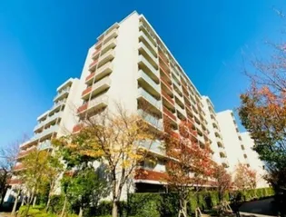 Brillia ist 三軒茶屋 アイビーテラス【8階】の外観