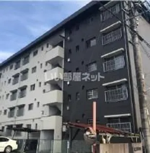 ディモルフォセカの画像