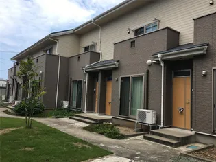 オーキッドBの画像