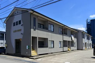 シェーン ブルーンの画像