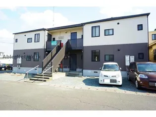 ホワイトパレの画像