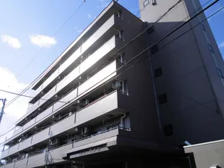 クローネ芦花の画像