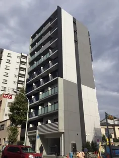MAXIV OJI TRADISの画像