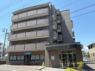 センテンス中田の画像