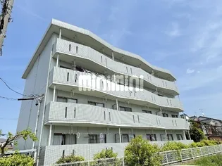 柿乃木坂2NDの画像