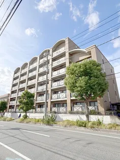 グリーンシティー五番館【6階】の外観