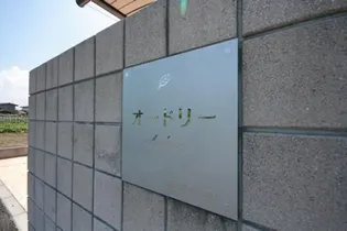 オードリーの画像