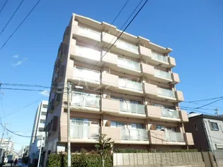 コンフォール ノグチの画像