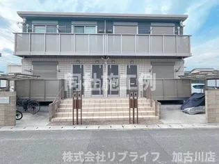 BELLE GRACEの画像