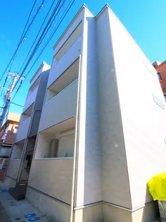 シフォンの画像