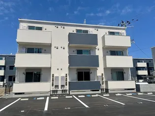 ゼルコヴァイーストIIの画像