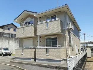 サニー ヒルズの画像