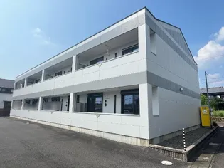 サン エバーラストTの画像