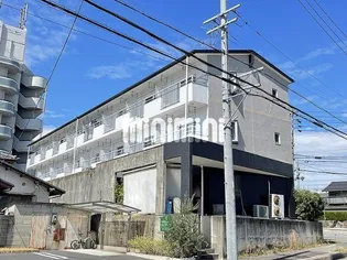 シャイン名藤の画像
