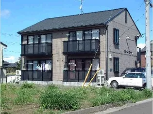 アムールコートの画像