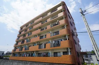 カーサいづみの画像