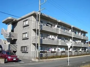 ディオールの画像