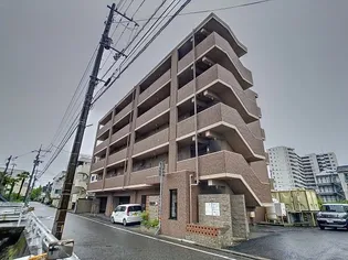 リーヴァ・ビスタ北本町【3階】の外観