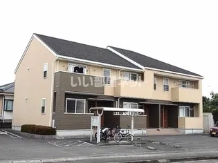 さくらコートの画像