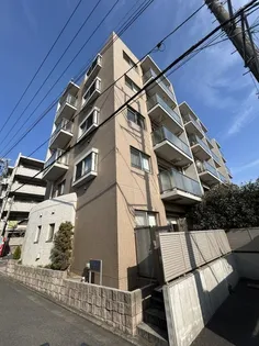 シャン ド ローズの画像