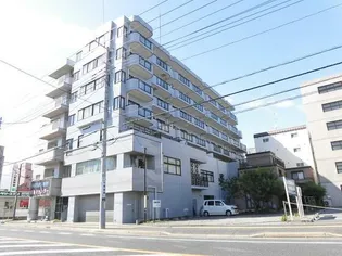 カメリア 7 ビルの画像